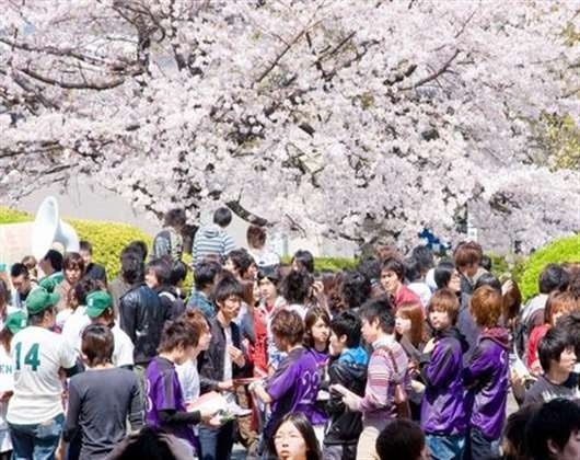 椙山女学园大学