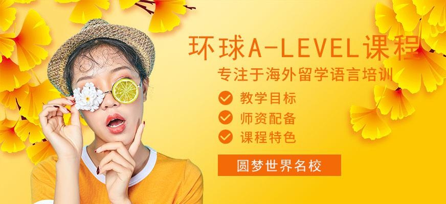 广州alevel辅导