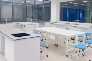 深圳市深美外籍人员子女学校国际初中招生简章