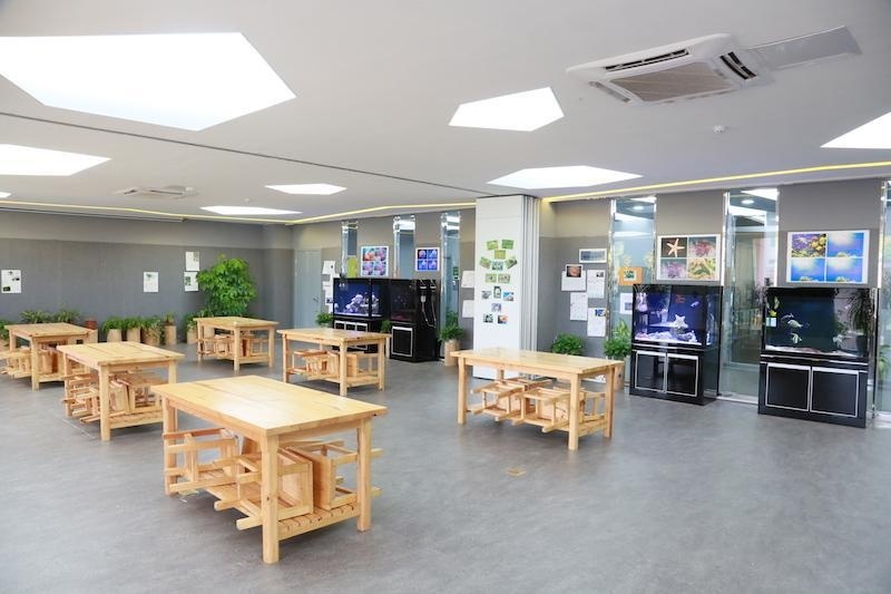 深圳道尔顿新华公学
