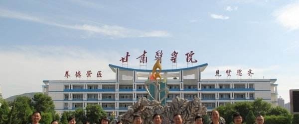 甘肃医学院2019年单招录取分数线