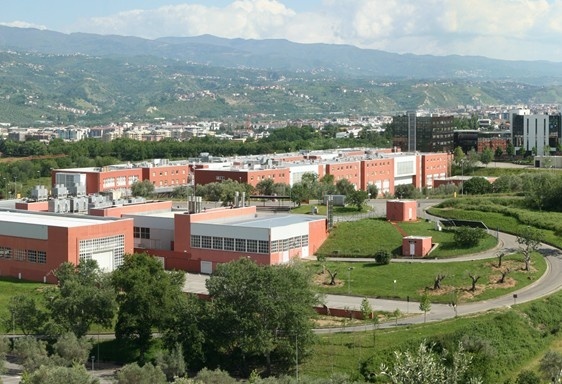 卡拉布里亚大学