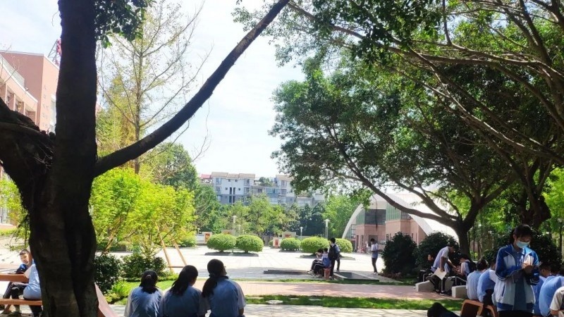 双流中学实验学校2022年招生代码