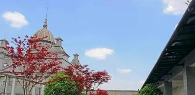 成都协同国际学校初中部2023年录取分数线2