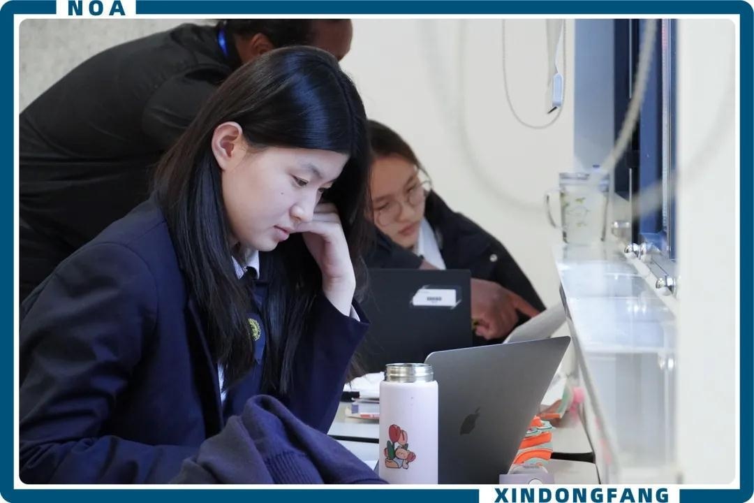 青岛新东方双语学校