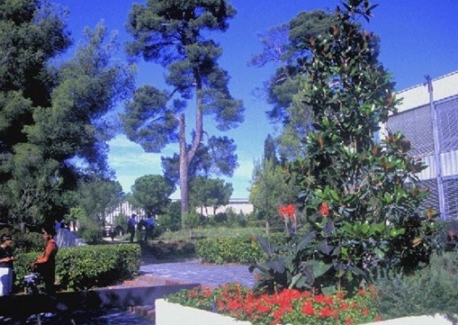 蒙波利埃第二大学