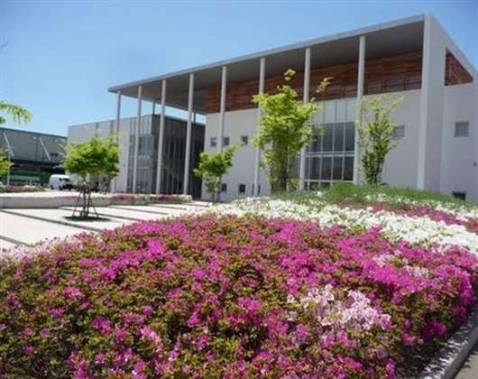 神户夙川学院大学