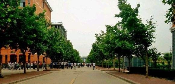 郑州理工职业学院单招