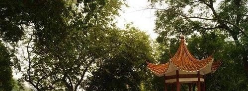 广西生态工程职业技术学院单招2019年单独招生有哪些专业