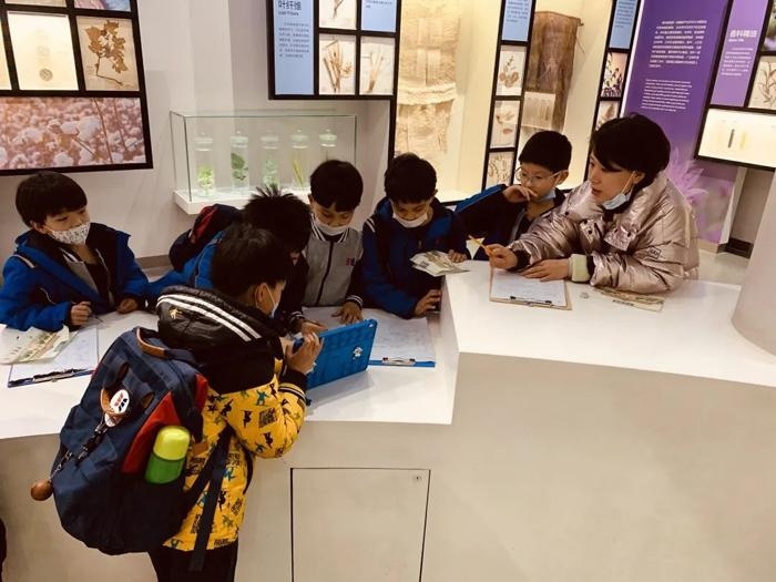 北京致知学校""