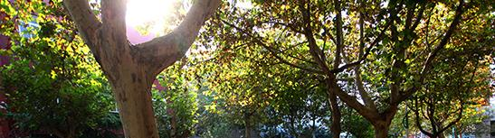 石家庄邮电职业技术学院