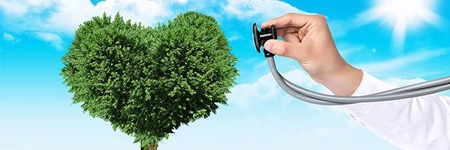 心理状态至关重要