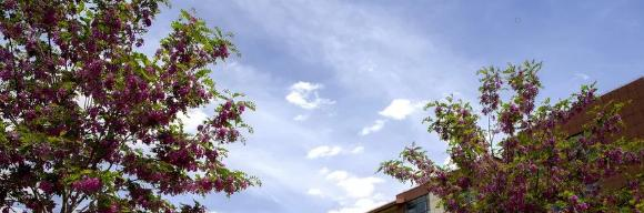 甘肃卫生职业学院五年制大专2020年学费、收费多少