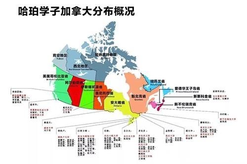 天津大学哈珀国际教育