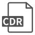 CDR模块