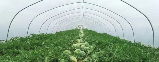 北方机电工业学校