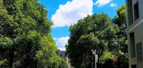 潇湘职业学院是大专还是中专(潇湘职业学院)