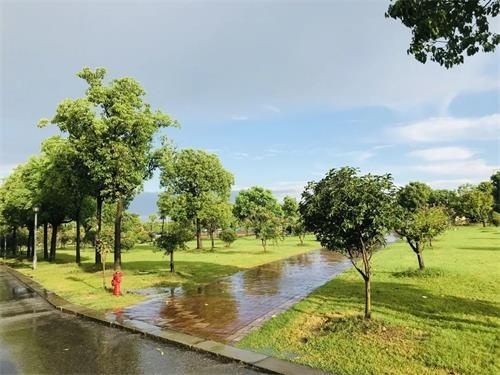 中加枫华国际学校