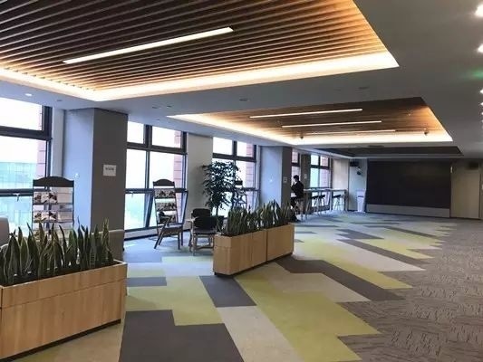 安生外国语专修学院