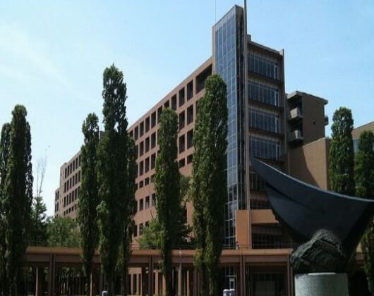 东京外国语大学