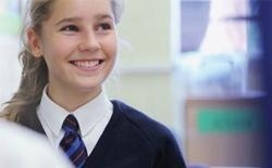 陶顿学校