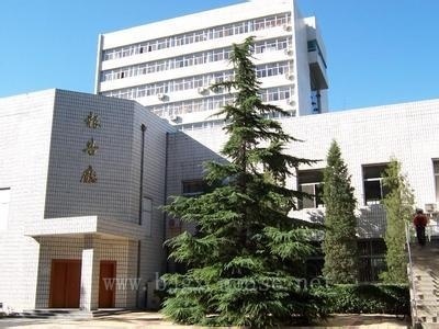 报告处