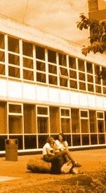 南埃塞克斯学院