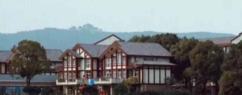 西交利物浦大学附属学校小学部2020年招生计划