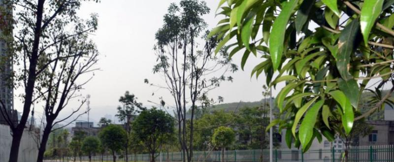 陕西电子科技职业学院五年制大专