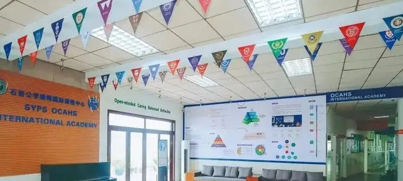 深圳石岩公学学校国际部小学怎么样2