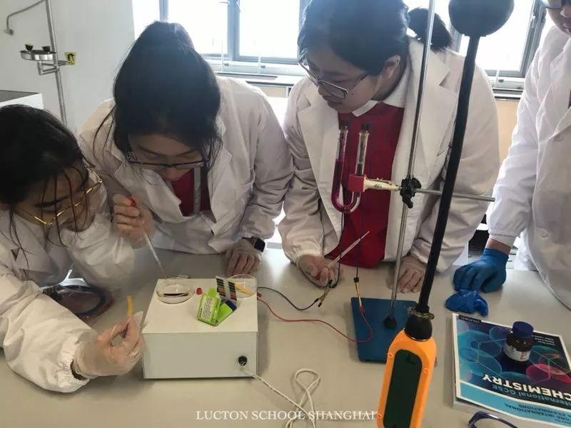 上海莱克顿学校科学课.jpg