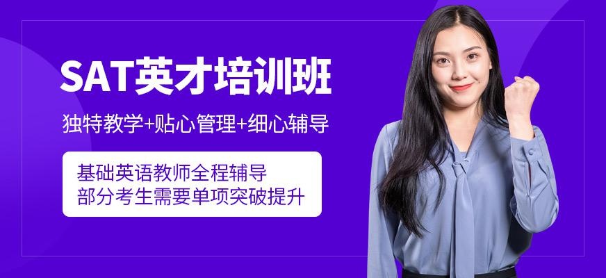 石家庄一对一sat培训