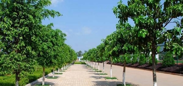 云南南方青年进修学院