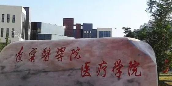 锦州医科大学医疗学院录取规则2023年