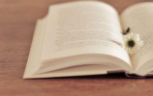 教师应该怎么样进行英语课堂有效教学