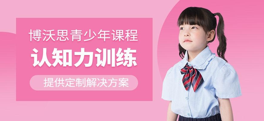 深圳博沃思认知力训练