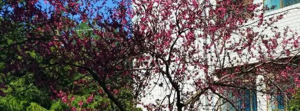 西峰北辰职业技术学校