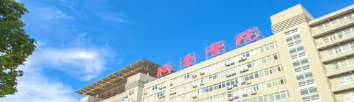 武汉城市职业学院4