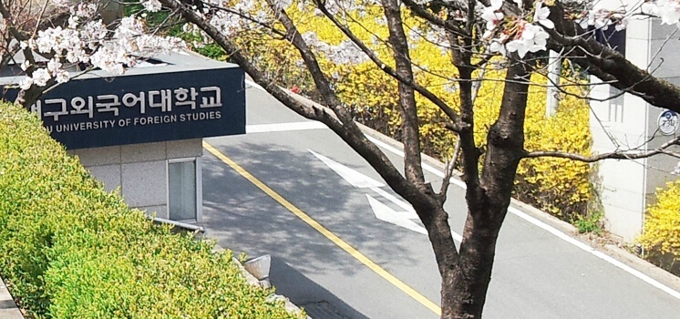 大邱外国语大学