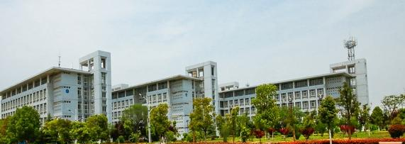 安徽电子信息职业技术学院2020年报名条件、招生要求、招生对象