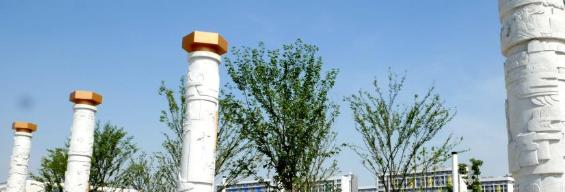 合肥职业技术学院2020年招生代码