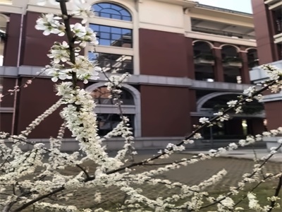 广东华侨中学国际课程学校环境