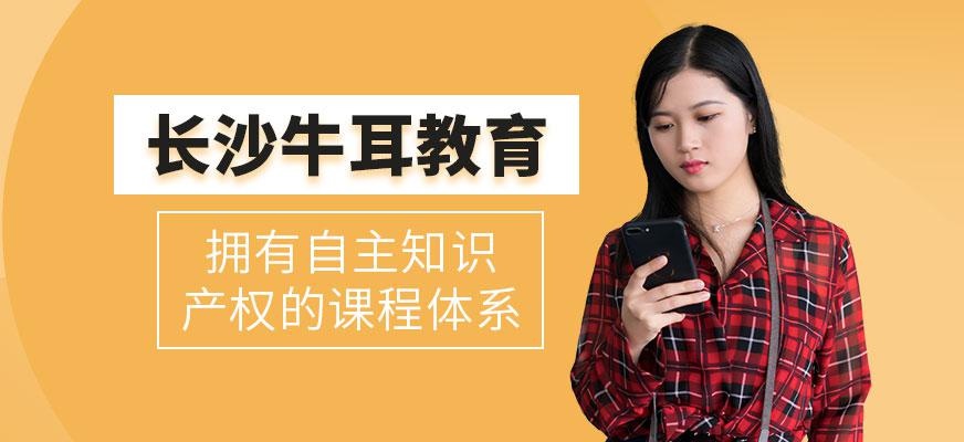 长沙牛耳IT培训