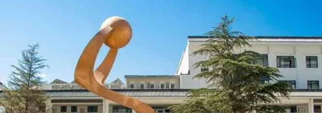 北京八一学校国际部