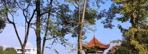 高职单独招生报名入口