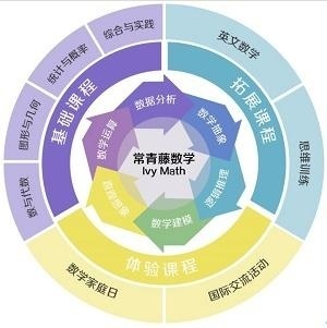 常青藤数学课程特色