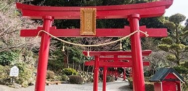 多媒体教学