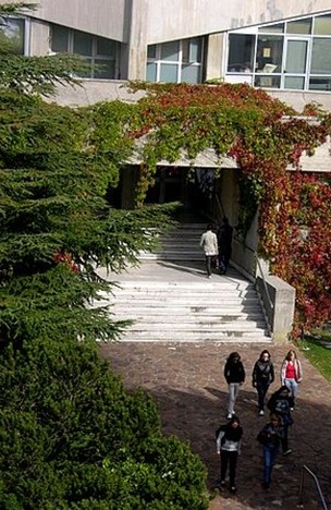 的里雅斯特大学