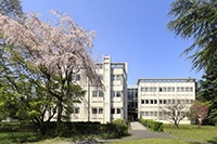 国际基督教大学