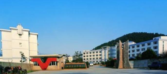 杭州民办东方中学国际部2020年报名条件、招生要求、招生对象